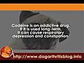 Prescription Painkillers for Dog Arthritis User Guides Part 5 - codeine