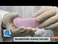 Atala Discusses Human Organ,  Tissue Engineering: Innovators