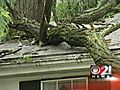 Storm damages local home