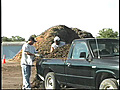 Mulch sale keeps trees out of landfills