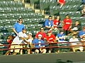 Fan falls to his death at baseball game