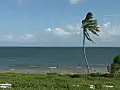 Royalty Free Stock Video HD Footage Scenic View of the Ocean in the Florida Keys