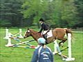 Dressage/Jumping Montage