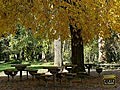 Innsbruck Herbstbilder - A Fall day in Tyrol Austria