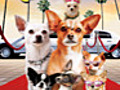 Una Chihuahua de Beverly Hills 2 (Doblada)