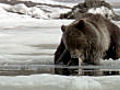 Ice fishing