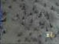Colorado Catches Break From West Nile Virus