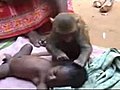 Monkey babysitter