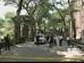 Falling Tree Branch Kills Baby In Central Park
