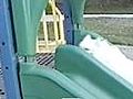 Dog Slips on the Slide