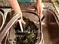 How To Make Sea Plant Soup (Miyuk Guk)