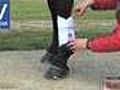 Horseandrideruk - How To Fit a Brushing Boot