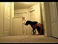 Rocky and myself playing a few rounds of hide and seek.