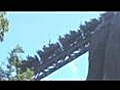 Expedition Everest,  Disney’s Animal Kingdom