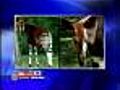 WJZ @ Your Desk: Morning Edition