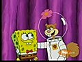 Spongebob Squarepants - Squirrel Jokes
