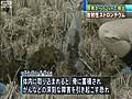 【原発】　62キロ離れた土壌でも放射性ストロンチウム　（11/06/09）