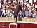 Bull escapes ring and charges into stands