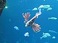 新江ノ島水族館