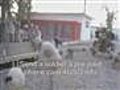 Goat vs american soldier fighting back headbutt Fu...