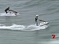 Surf’s up in Sydney