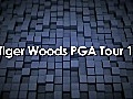 Go Golfing with Tigers Woods