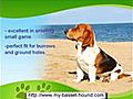 Basset Hound History