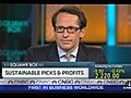 Sustainable Picks &amp; Profits