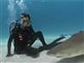 Thrill-seeking tourists pursue sharks