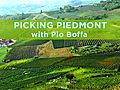 Piedmont: Picking with Pio Boffa