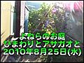 よねらのお庭_20100825