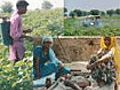 The Slow Poisoning of India