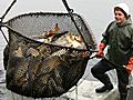 EU-Kommission: Radikale Fischereireform
