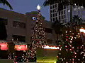 Royalty Free Stock Video HD Footage Restaurant Building and Christmas Decorations in Downtown Ft. Lauderdale,  Florida