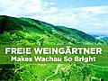 Freie Weingärtner Makes Wachau Bright