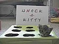 Whack-A-Kitty