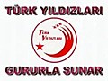Türk Yıldızları&#039;ndan Muhteşem Gösteri