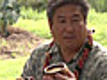 Guest Judge Alan Wong’s Luau - Part 2