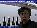 Les femmes sont-elles nombreuses à travailler dans le secteur du vin ?