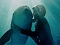 Dolphin Tale - Featurette - The True Story