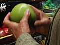 TreeHugger TV: How to Buy Green Produce