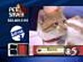 Petsaver: Rome needs a home