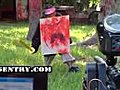 Automated Paintball Sentry vs. Little Brother