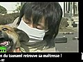 Vidéo Buzz: Rescapé 3 semaines après le tsunami,  le chien retrouve sa maitresse !