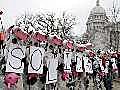 Weird Solidarity Cows March at Madison Protest WTF?? LOL!