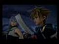 Kingdom hearts 2 fallen