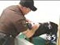 Dog Wash To Benefit Brown County K-9s