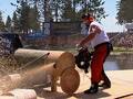 Lumberjack Competition: Part I