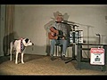 Perro tocando el acordeón