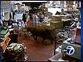 VIDEO: Bulls on the loose in supermarket